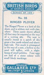 1923 Gallaher British Birds #35 Ringed Plover Back