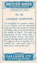 1923 Gallaher British Birds #36 Common Sandpiper Back