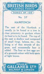 1923 Gallaher British Birds #37 Hawfinch Back