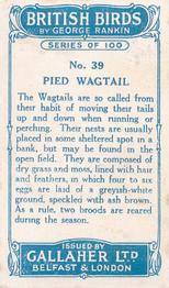 1923 Gallaher British Birds #39 Pied Wagtail Back