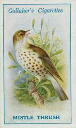 1923 Gallaher British Birds #40 Mistle Thrush Front