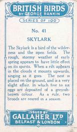1923 Gallaher British Birds #41 Skylark Back