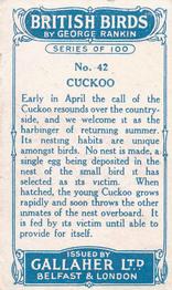 1923 Gallaher British Birds #42 Cuckoo Back
