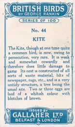 1923 Gallaher British Birds #44 Kite Back