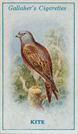 1923 Gallaher British Birds #44 Kite Front