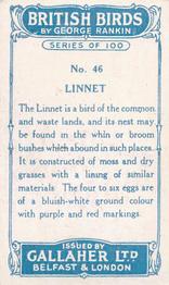 1923 Gallaher British Birds #46 Linnet Back
