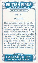 1923 Gallaher British Birds #47 Magpie Back