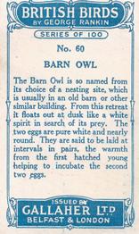 1923 Gallaher British Birds #60 Barn Owl Back