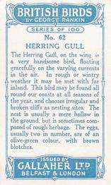 1923 Gallaher British Birds #62 Herring Gull Back