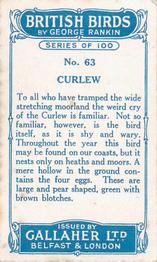 1923 Gallaher British Birds #63 Curlew Back