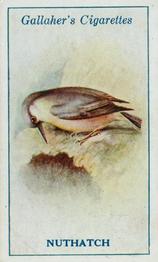 1923 Gallaher British Birds #65 Nuthatch Front