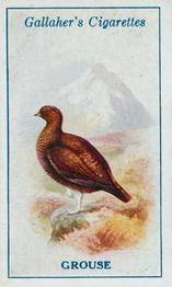 1923 Gallaher British Birds #68 Grouse Front