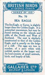 1923 Gallaher British Birds #70 Sea Eagle Back