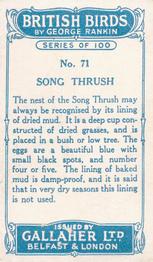 1923 Gallaher British Birds #71 Song Thrush Back