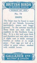 1923 Gallaher British Birds #74 Snipe Back