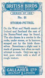 1923 Gallaher British Birds #81 Storm-Petrel Back