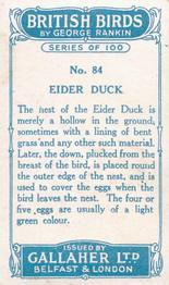 1923 Gallaher British Birds #84 Eider Duck Back