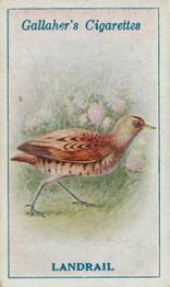 1923 Gallaher British Birds #86 Landrail Front