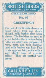 1923 Gallaher British Birds #99 Greenfinch Back