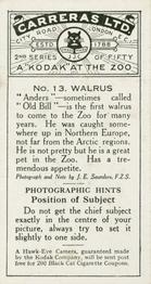 1925 Carreras A “Kodak” at the Zoo (Second Series of 50) #13 Walrus Back
