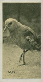1925 Carreras A “Kodak” at the Zoo (Second Series of 50) #23 Kagu Front