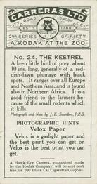 1925 Carreras A “Kodak” at the Zoo (Second Series of 50) #24 Kestrel Back