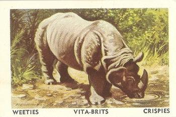 1958 Nabisco Animals of the World #3 Indian Rhinoceros Front