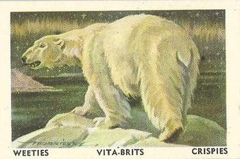1958 Nabisco Animals of the World #4 Polar Bear Front