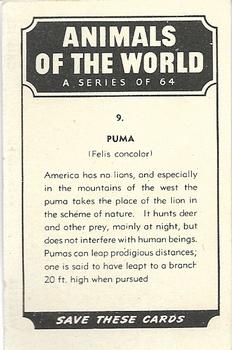 1958 Nabisco Animals of the World #9 Puma Back