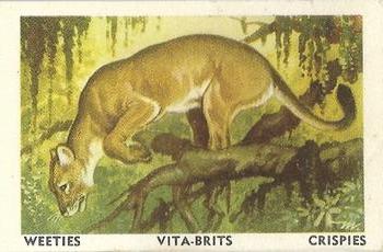 1958 Nabisco Animals of the World #9 Puma Front