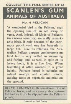 1966 Scanlens Animals of Australia #4 Pelican Back