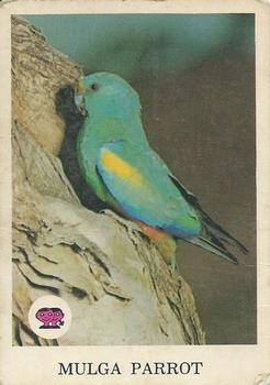 1966 Scanlens Animals of Australia #12 Mulga Parrot Front