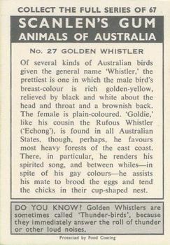 1966 Scanlens Animals of Australia #27 Golden Whistler Back