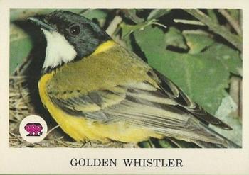1966 Scanlens Animals of Australia #27 Golden Whistler Front