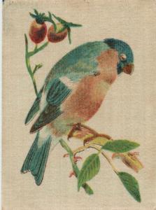 1915 B. Morris & Sons English and Foreign Birds - Silks #3 Bullfinch Front