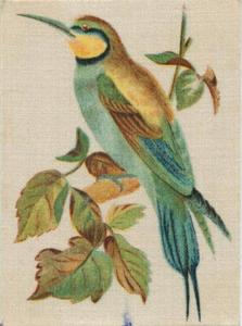 1915 B. Morris & Sons English and Foreign Birds - Silks #18 Bee-eater Front