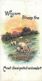 1898 Wills's Conundrums #4 Why are sheep the most disspated animals? Front