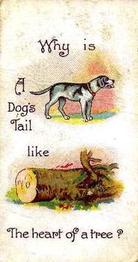 1898 Wills's Conundrums #7 Why is a dog's tail like the heart of a tree? Front