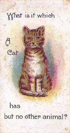 1898 Wills's Conundrums #9 What is it which a cat has, but no other animals? Front