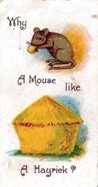1898 Wills's Conundrums #18 Why is a mouse like a haystack? Front