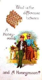 1898 Wills's Conundrums #21 What is the difference between a honeycomb and a honeymoon? Front