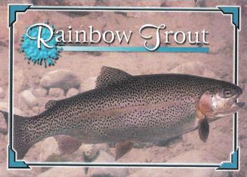 2010 South Dakota Game, Fish and Parks Fish #10 Rainbow Trout Front