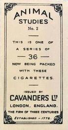 1936 Cavanders Animal Studies #2 Happy Family Back