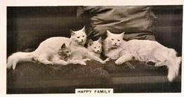 1936 Cavanders Animal Studies #2 Happy Family Front