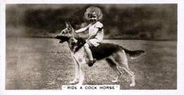 1936 Cavanders Animal Studies #10 Ride a Cock Horse Front