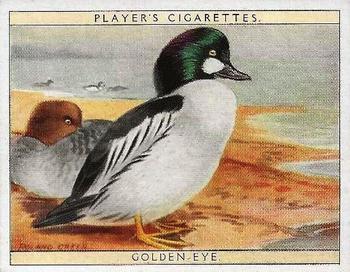 1928 Player's Game Birds and Wild Fowl (Large) #4 Golden-eye Front