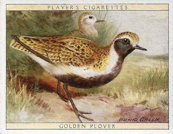 1928 Player's Game Birds and Wild Fowl (Large) #16 Golden Plover Front
