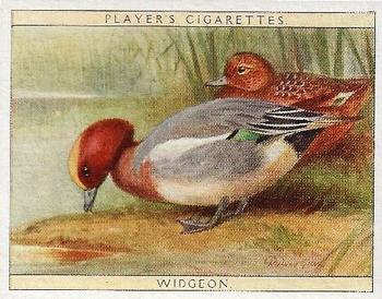 1928 Player's Game Birds and Wild Fowl (Large) #24 Widgeon Front