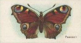 1925 William Gossage & Son Butterflies & Moths #2 Peacock Butterfly Front