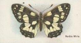 1925 William Gossage & Son Butterflies & Moths #7 Marbled White Butterfly Front